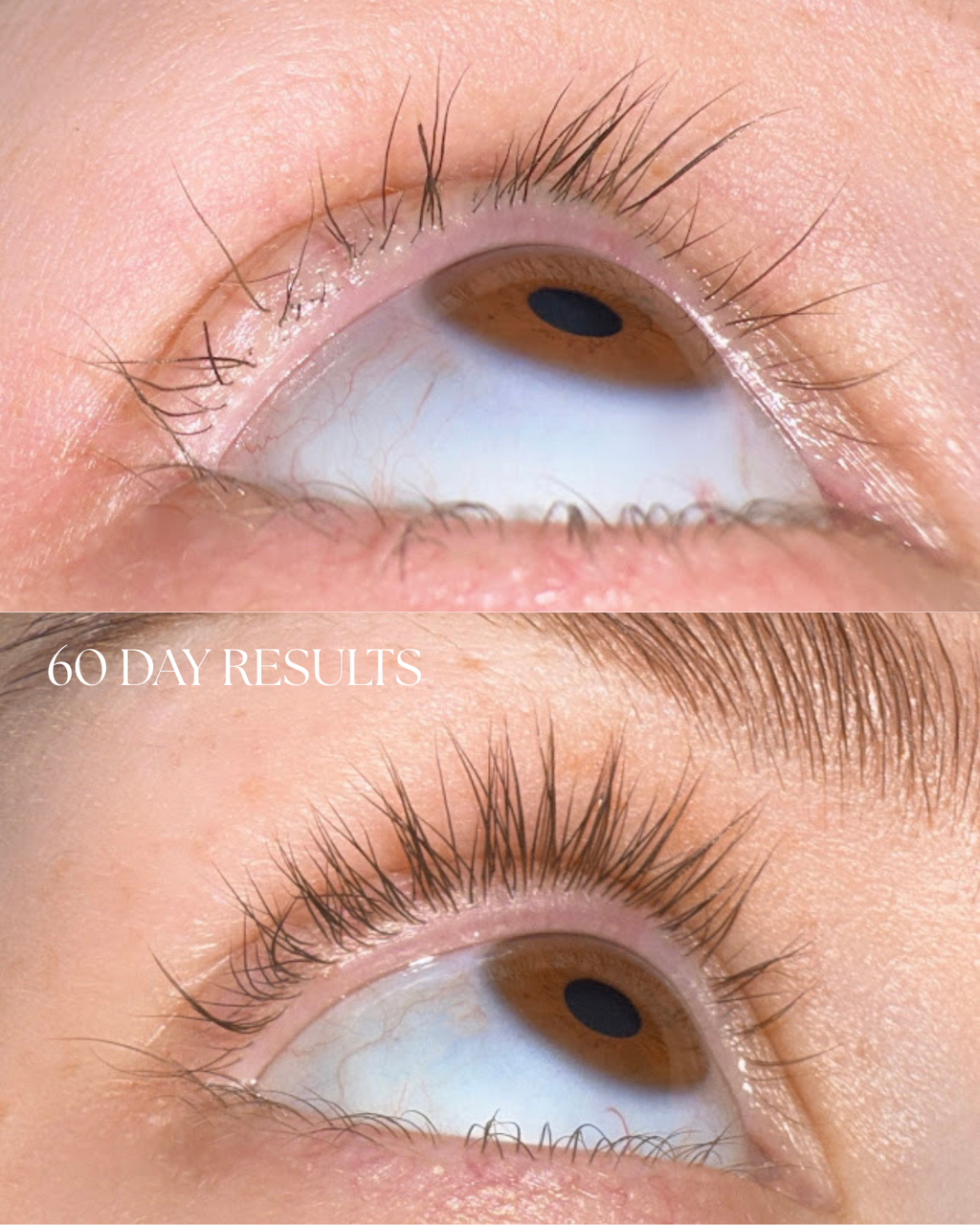 Lash Growth Serum