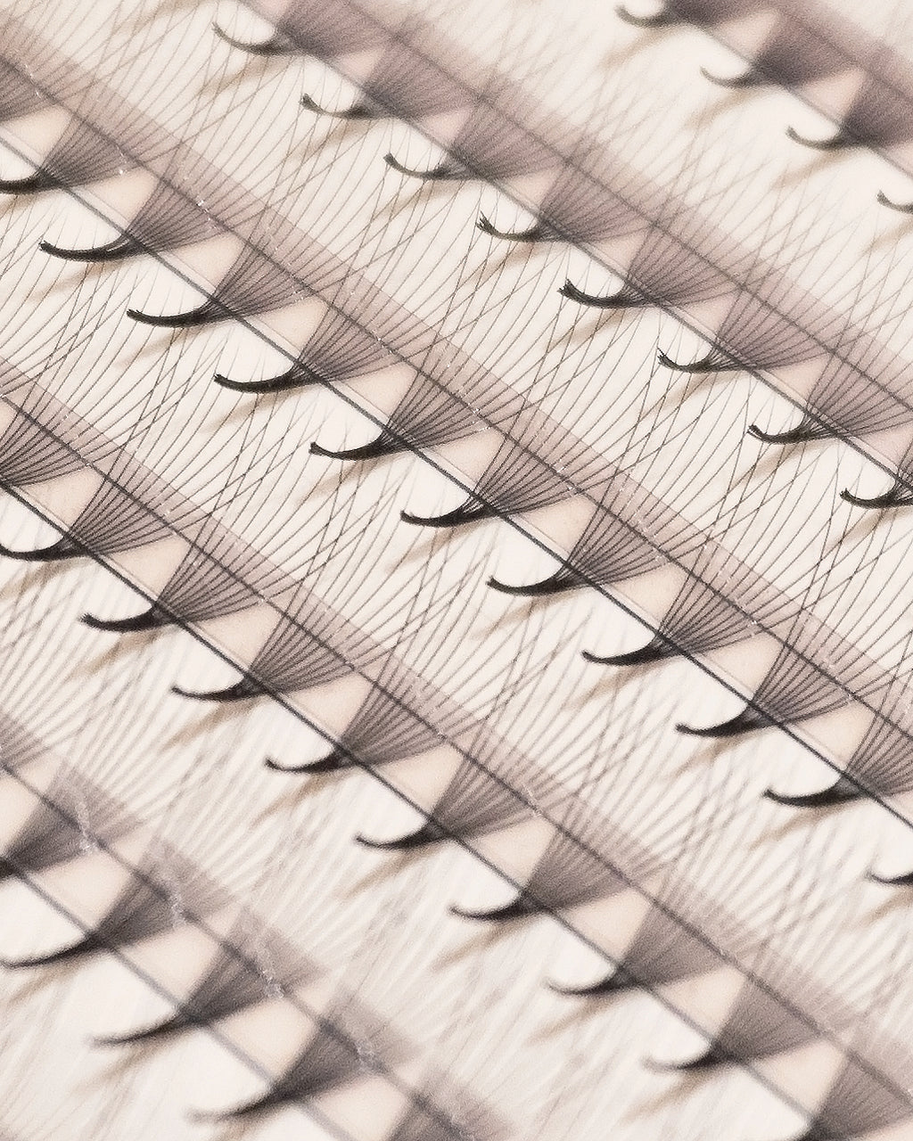 Loose Base Promade Fans